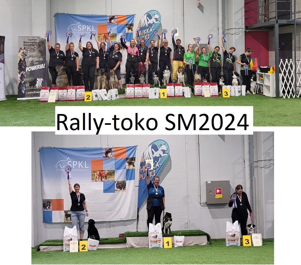 Rally-tokon SM-kisojen 2024 tulokset